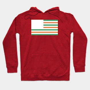 United States of Ireland Hoodie